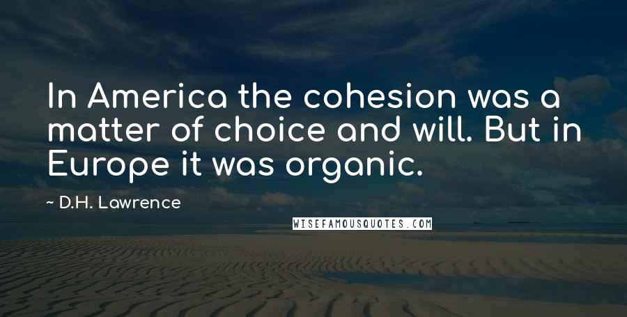 D.H. Lawrence Quotes: In America the cohesion was a matter of choice and will. But in Europe it was organic.