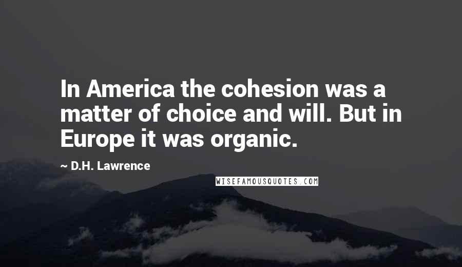 D.H. Lawrence Quotes: In America the cohesion was a matter of choice and will. But in Europe it was organic.