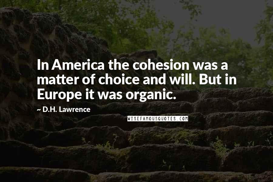 D.H. Lawrence Quotes: In America the cohesion was a matter of choice and will. But in Europe it was organic.