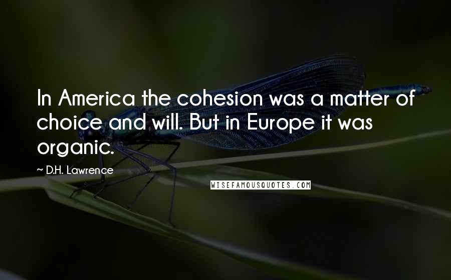 D.H. Lawrence Quotes: In America the cohesion was a matter of choice and will. But in Europe it was organic.