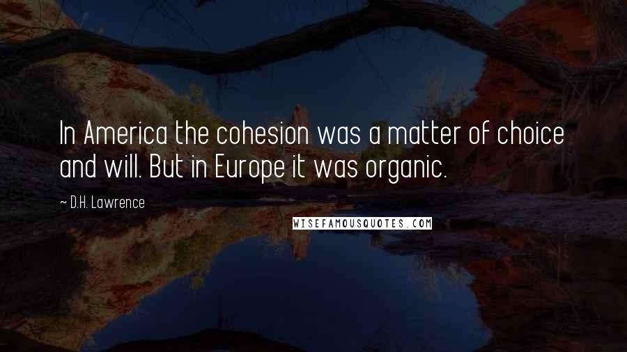 D.H. Lawrence Quotes: In America the cohesion was a matter of choice and will. But in Europe it was organic.