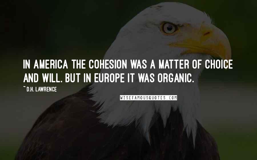 D.H. Lawrence Quotes: In America the cohesion was a matter of choice and will. But in Europe it was organic.