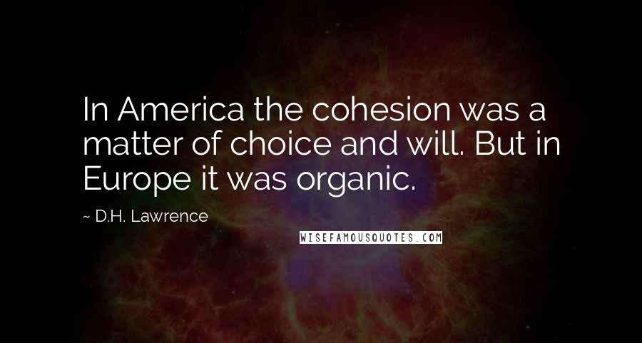 D.H. Lawrence Quotes: In America the cohesion was a matter of choice and will. But in Europe it was organic.