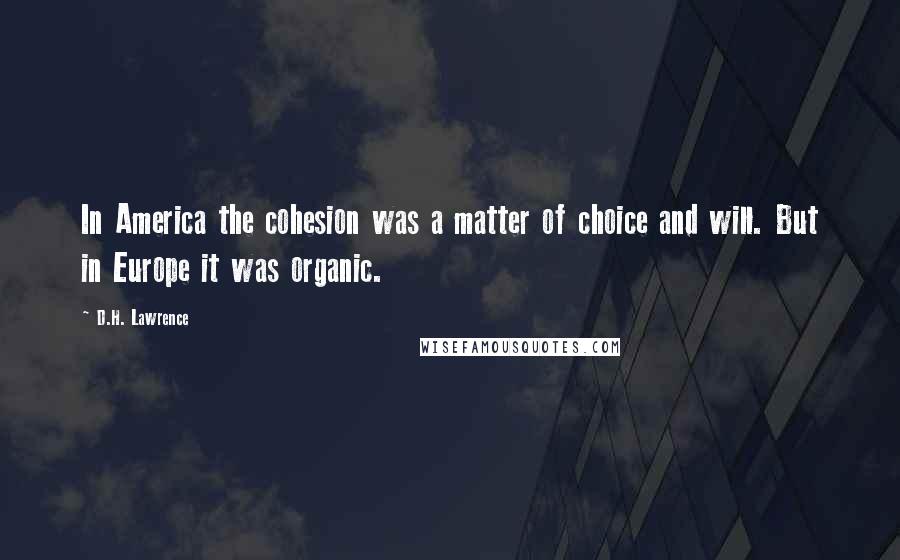 D.H. Lawrence Quotes: In America the cohesion was a matter of choice and will. But in Europe it was organic.