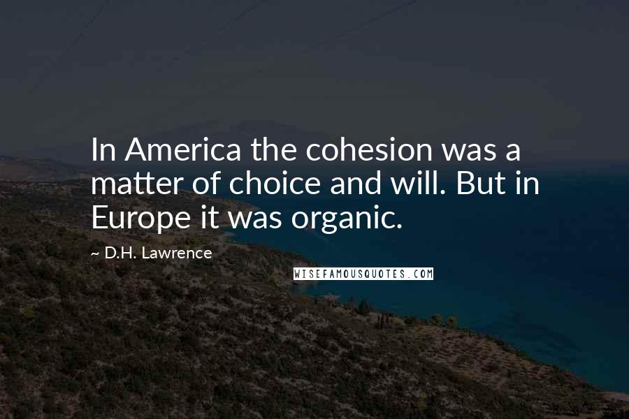 D.H. Lawrence Quotes: In America the cohesion was a matter of choice and will. But in Europe it was organic.