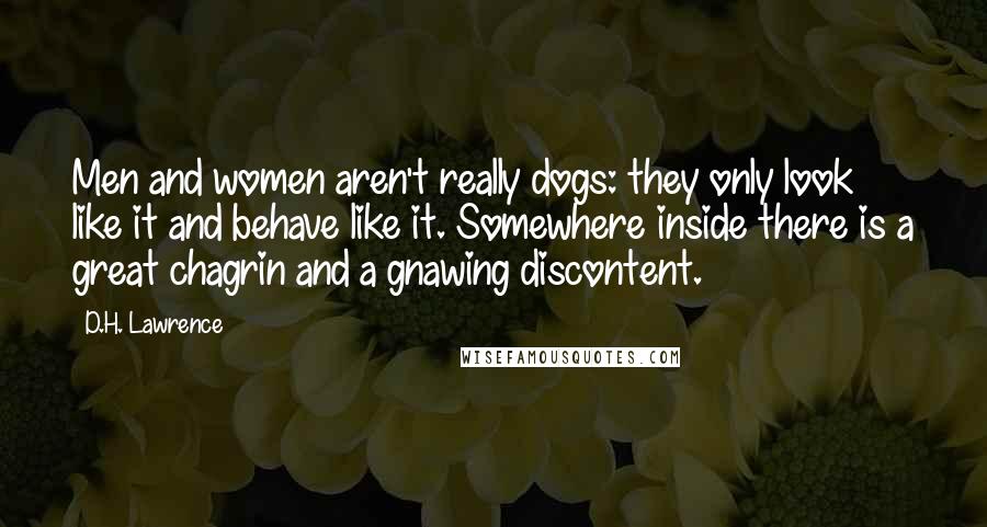 D.H. Lawrence Quotes: Men and women aren't really dogs: they only look like it and behave like it. Somewhere inside there is a great chagrin and a gnawing discontent.