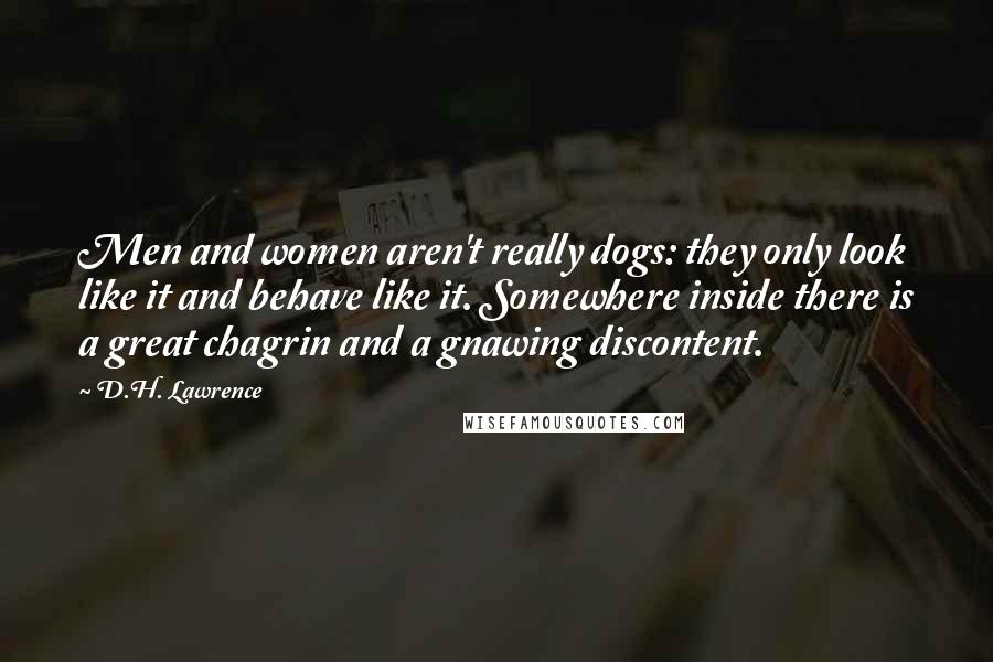 D.H. Lawrence Quotes: Men and women aren't really dogs: they only look like it and behave like it. Somewhere inside there is a great chagrin and a gnawing discontent.
