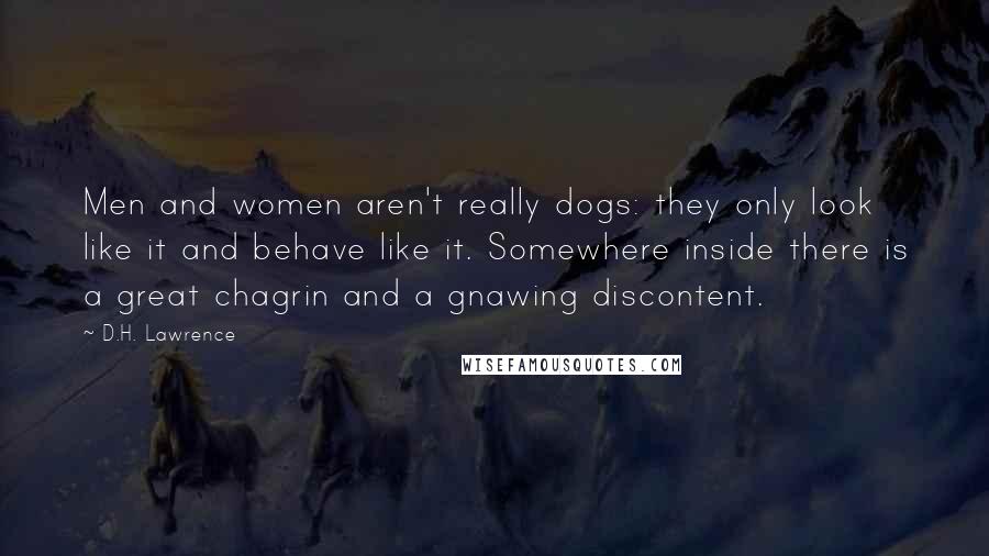 D.H. Lawrence Quotes: Men and women aren't really dogs: they only look like it and behave like it. Somewhere inside there is a great chagrin and a gnawing discontent.