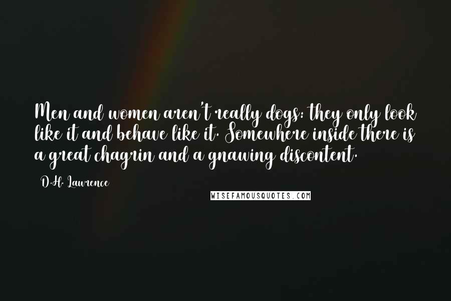 D.H. Lawrence Quotes: Men and women aren't really dogs: they only look like it and behave like it. Somewhere inside there is a great chagrin and a gnawing discontent.
