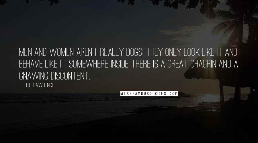 D.H. Lawrence Quotes: Men and women aren't really dogs: they only look like it and behave like it. Somewhere inside there is a great chagrin and a gnawing discontent.