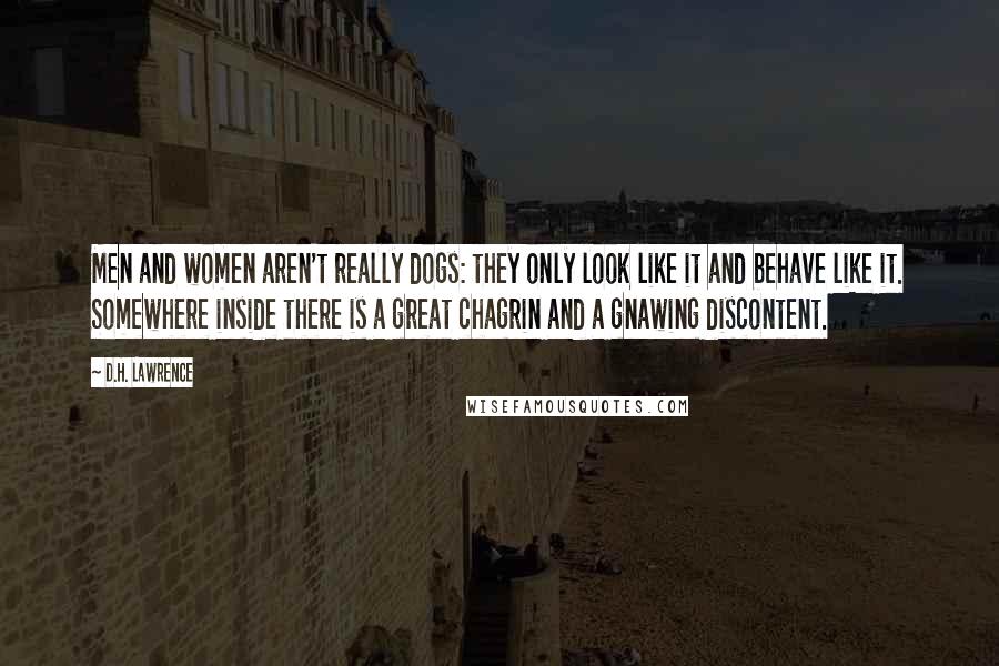 D.H. Lawrence Quotes: Men and women aren't really dogs: they only look like it and behave like it. Somewhere inside there is a great chagrin and a gnawing discontent.