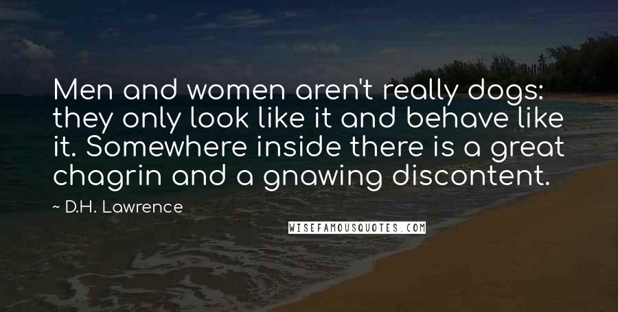 D.H. Lawrence Quotes: Men and women aren't really dogs: they only look like it and behave like it. Somewhere inside there is a great chagrin and a gnawing discontent.