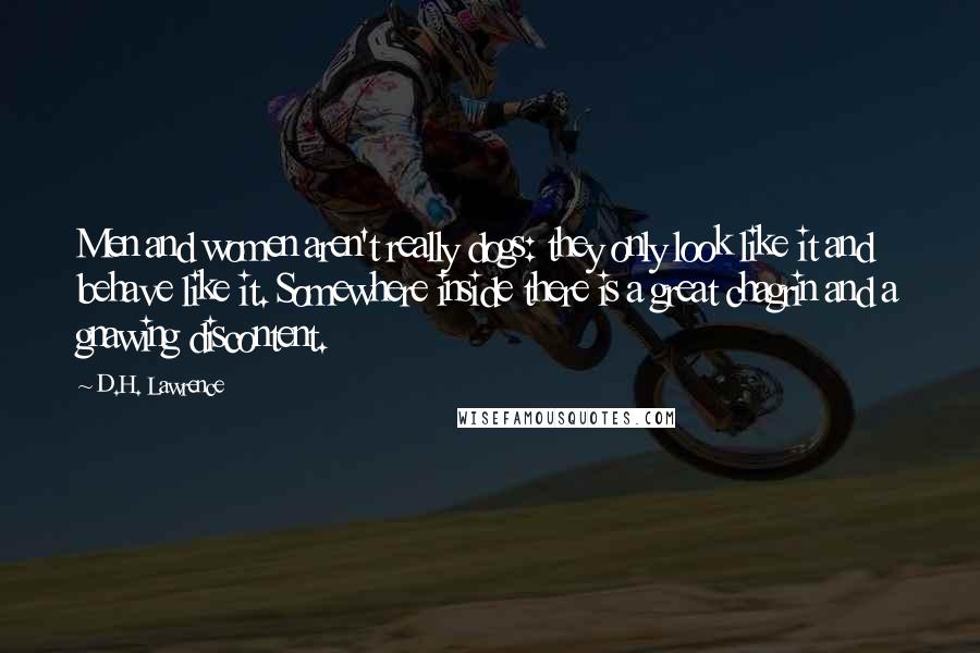 D.H. Lawrence Quotes: Men and women aren't really dogs: they only look like it and behave like it. Somewhere inside there is a great chagrin and a gnawing discontent.