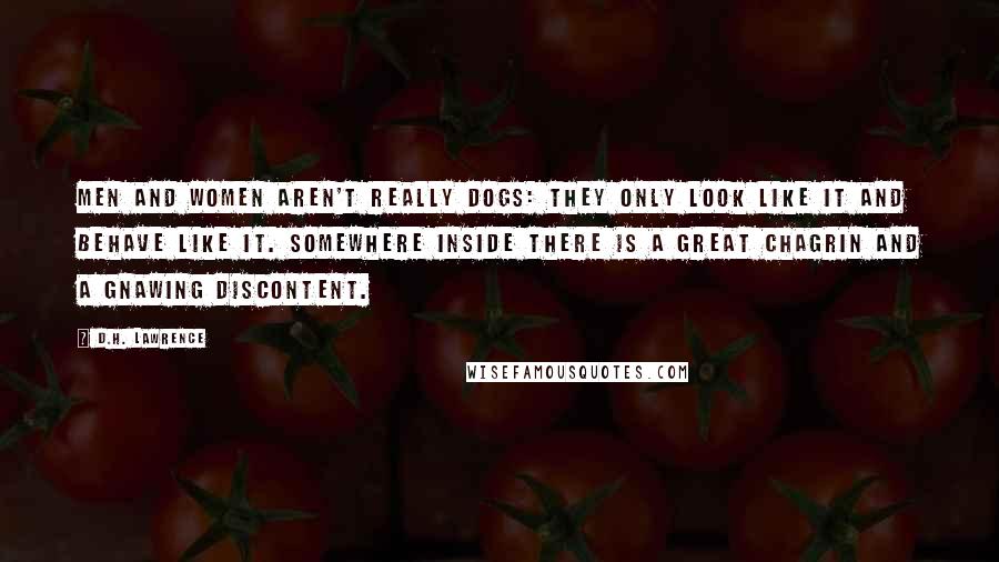 D.H. Lawrence Quotes: Men and women aren't really dogs: they only look like it and behave like it. Somewhere inside there is a great chagrin and a gnawing discontent.