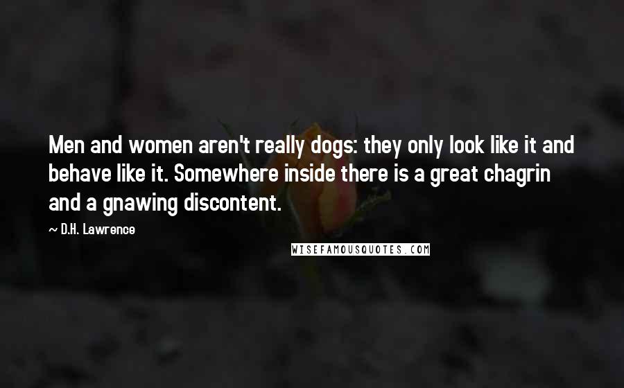 D.H. Lawrence Quotes: Men and women aren't really dogs: they only look like it and behave like it. Somewhere inside there is a great chagrin and a gnawing discontent.