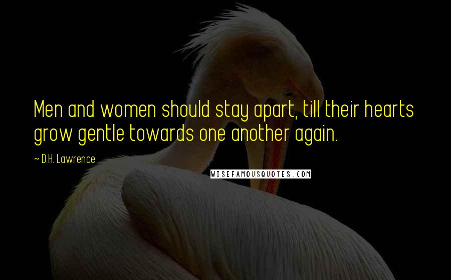 D.H. Lawrence Quotes: Men and women should stay apart, till their hearts grow gentle towards one another again.