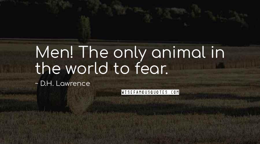 D.H. Lawrence Quotes: Men! The only animal in the world to fear.