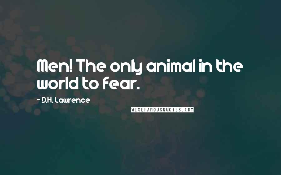 D.H. Lawrence Quotes: Men! The only animal in the world to fear.