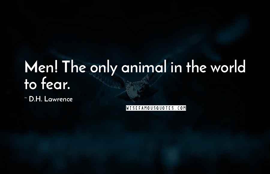 D.H. Lawrence Quotes: Men! The only animal in the world to fear.