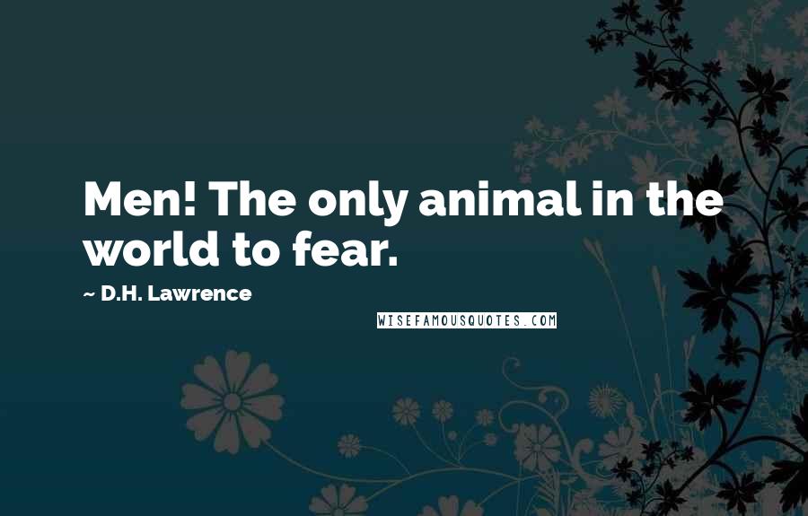 D.H. Lawrence Quotes: Men! The only animal in the world to fear.