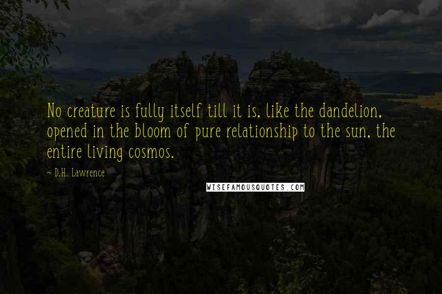 D.H. Lawrence Quotes: No creature is fully itself till it is, like the dandelion, opened in the bloom of pure relationship to the sun, the entire living cosmos.