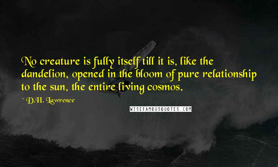 D.H. Lawrence Quotes: No creature is fully itself till it is, like the dandelion, opened in the bloom of pure relationship to the sun, the entire living cosmos.