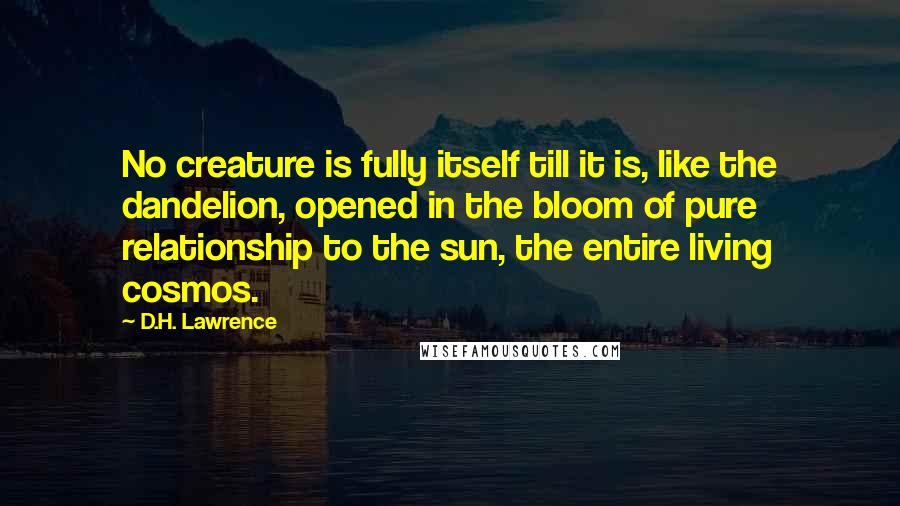 D.H. Lawrence Quotes: No creature is fully itself till it is, like the dandelion, opened in the bloom of pure relationship to the sun, the entire living cosmos.