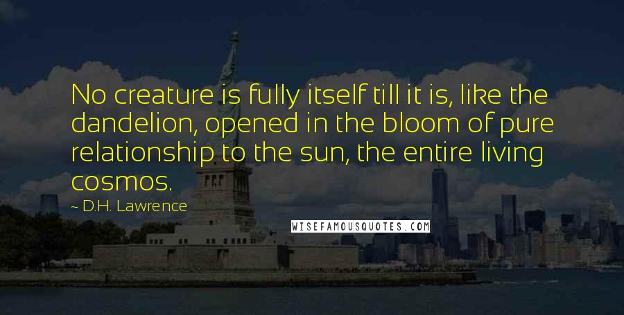 D.H. Lawrence Quotes: No creature is fully itself till it is, like the dandelion, opened in the bloom of pure relationship to the sun, the entire living cosmos.