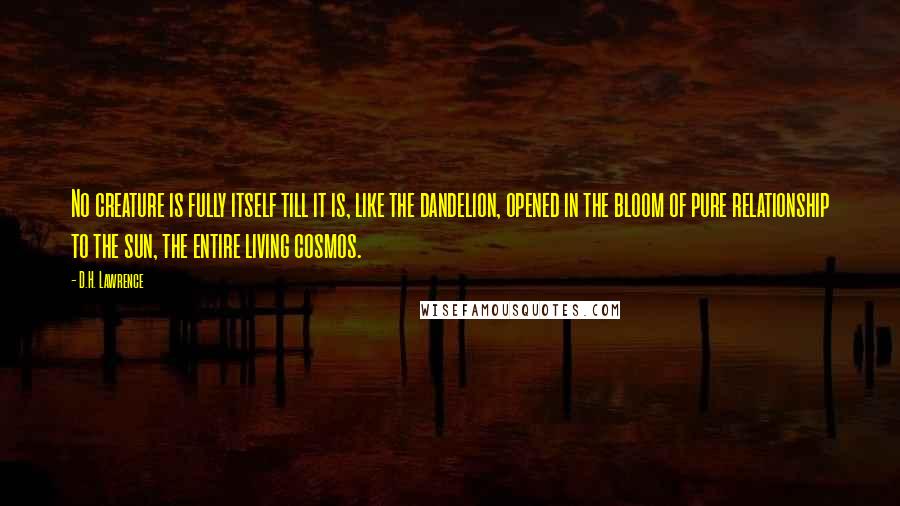 D.H. Lawrence Quotes: No creature is fully itself till it is, like the dandelion, opened in the bloom of pure relationship to the sun, the entire living cosmos.