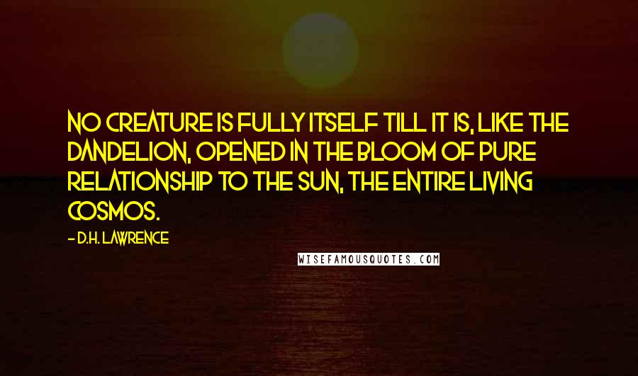 D.H. Lawrence Quotes: No creature is fully itself till it is, like the dandelion, opened in the bloom of pure relationship to the sun, the entire living cosmos.