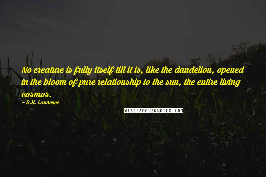 D.H. Lawrence Quotes: No creature is fully itself till it is, like the dandelion, opened in the bloom of pure relationship to the sun, the entire living cosmos.