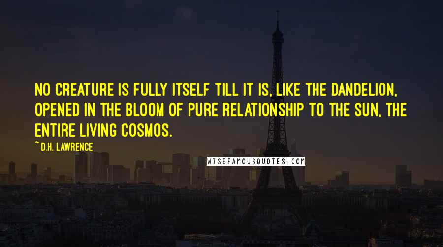 D.H. Lawrence Quotes: No creature is fully itself till it is, like the dandelion, opened in the bloom of pure relationship to the sun, the entire living cosmos.