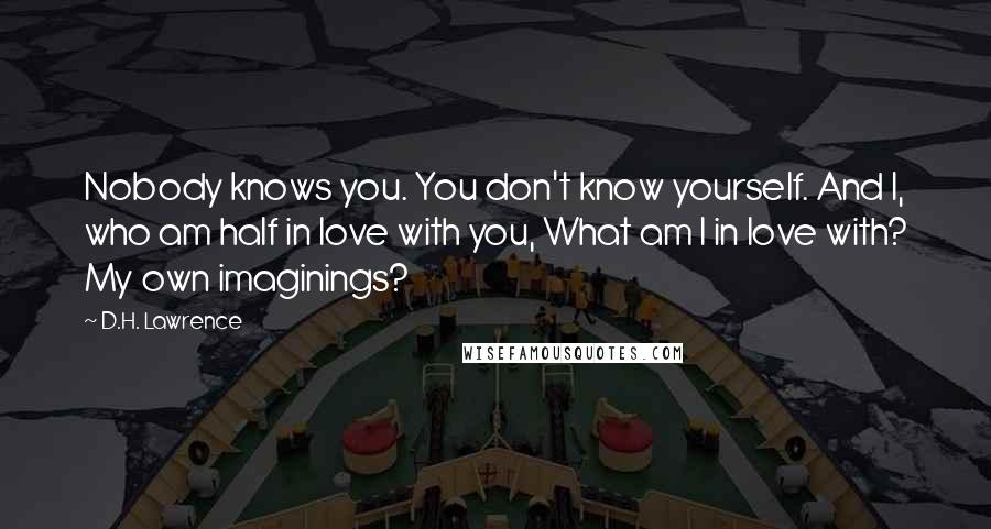 D.H. Lawrence Quotes: Nobody knows you. You don't know yourself. And I, who am half in love with you, What am I in love with? My own imaginings?