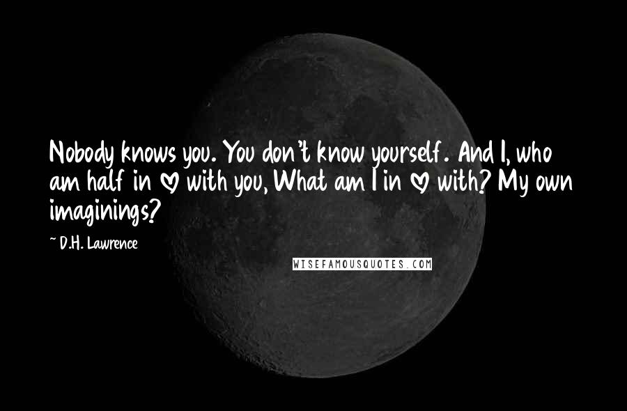 D.H. Lawrence Quotes: Nobody knows you. You don't know yourself. And I, who am half in love with you, What am I in love with? My own imaginings?