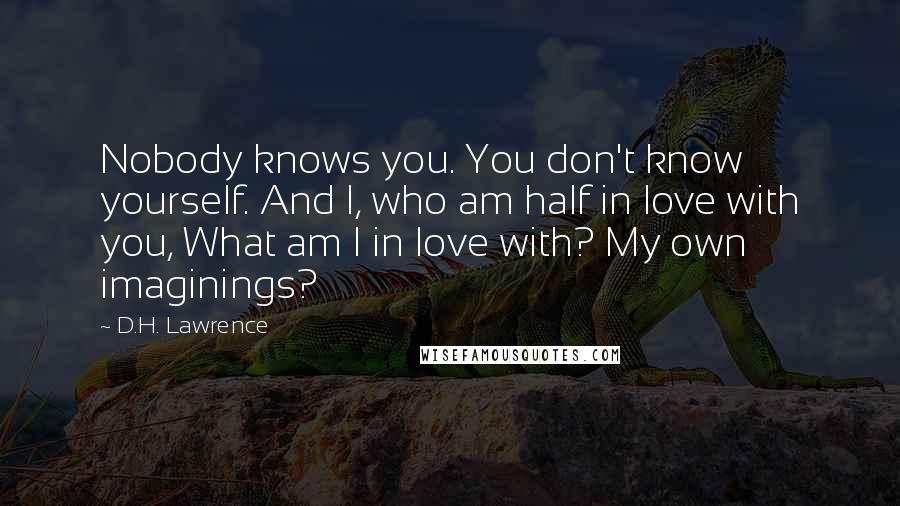 D.H. Lawrence Quotes: Nobody knows you. You don't know yourself. And I, who am half in love with you, What am I in love with? My own imaginings?