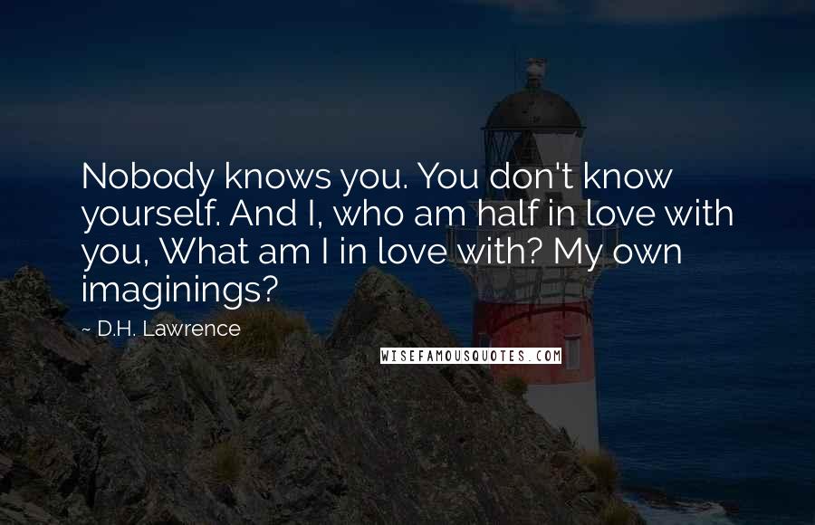 D.H. Lawrence Quotes: Nobody knows you. You don't know yourself. And I, who am half in love with you, What am I in love with? My own imaginings?