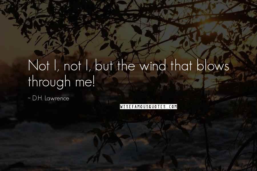 D.H. Lawrence Quotes: Not I, not I, but the wind that blows through me!