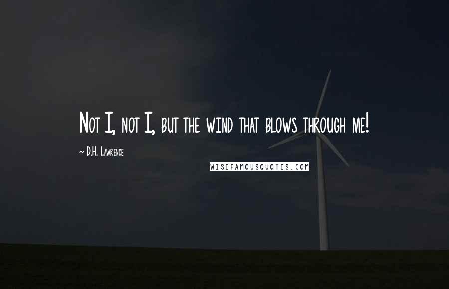 D.H. Lawrence Quotes: Not I, not I, but the wind that blows through me!