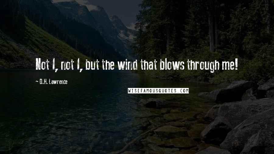 D.H. Lawrence Quotes: Not I, not I, but the wind that blows through me!