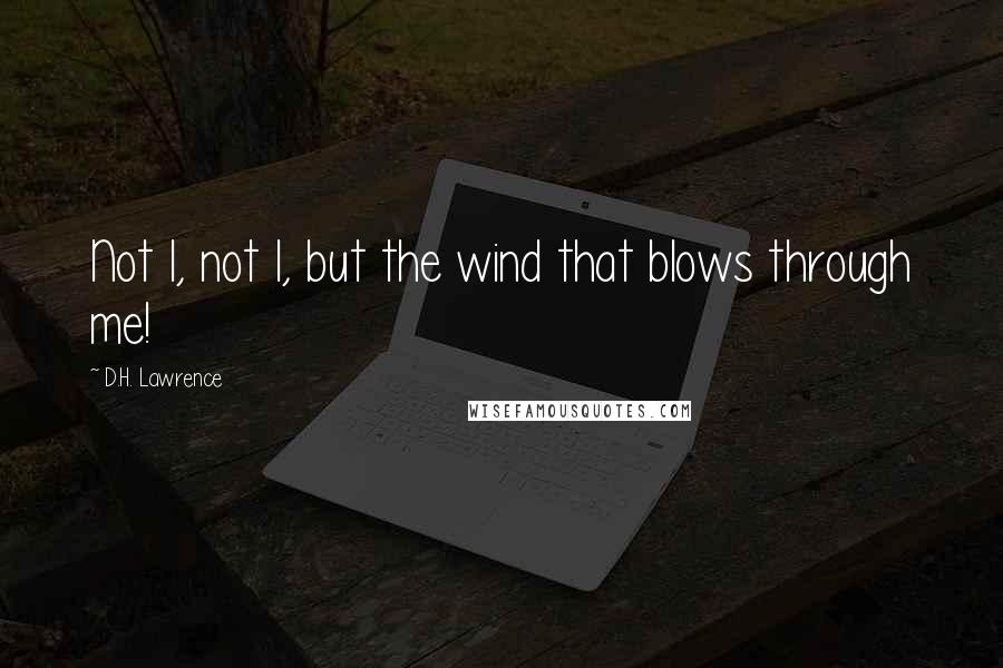 D.H. Lawrence Quotes: Not I, not I, but the wind that blows through me!