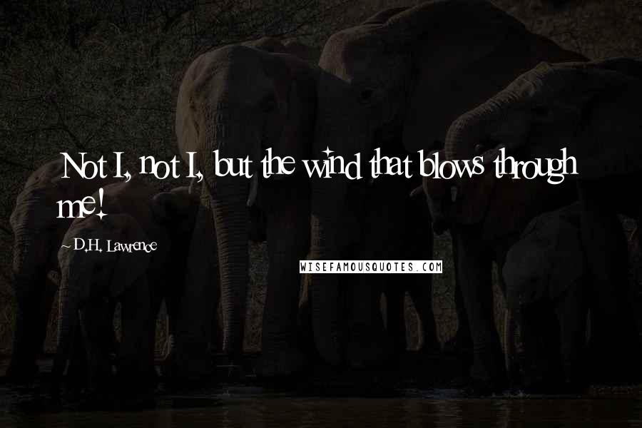 D.H. Lawrence Quotes: Not I, not I, but the wind that blows through me!