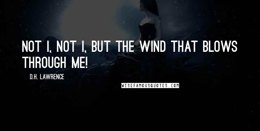 D.H. Lawrence Quotes: Not I, not I, but the wind that blows through me!