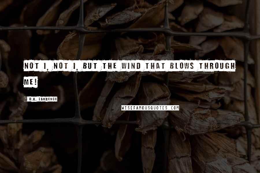 D.H. Lawrence Quotes: Not I, not I, but the wind that blows through me!