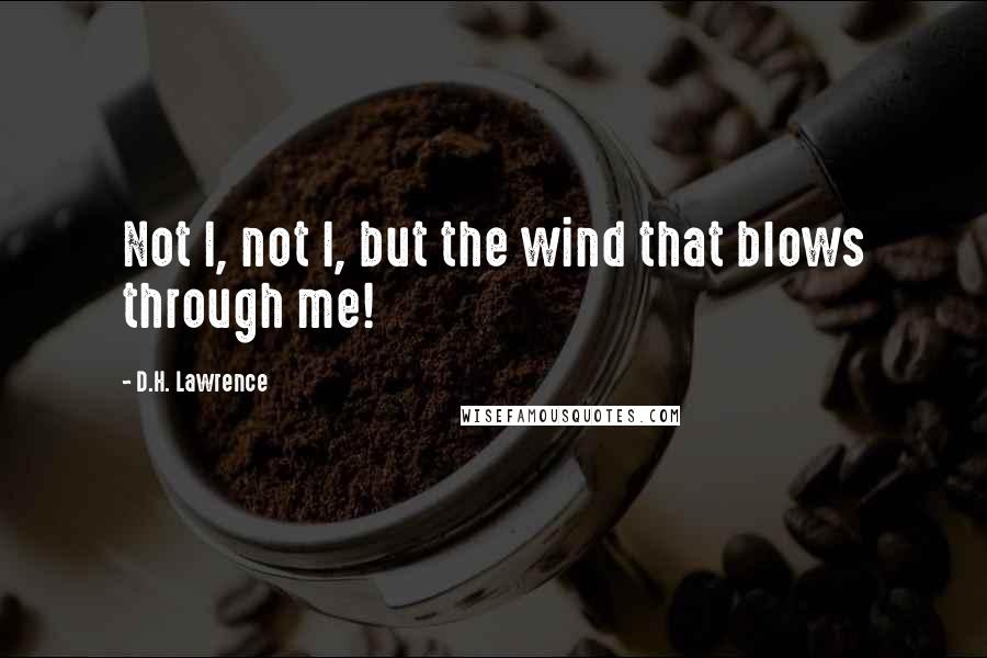 D.H. Lawrence Quotes: Not I, not I, but the wind that blows through me!