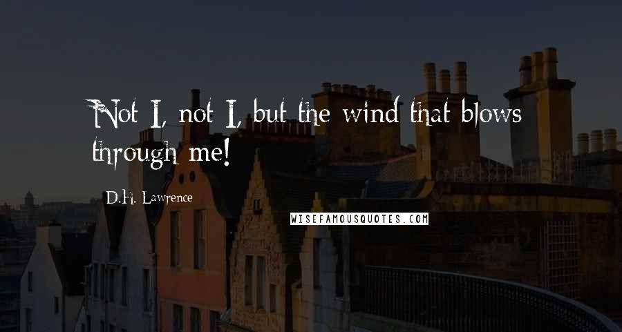 D.H. Lawrence Quotes: Not I, not I, but the wind that blows through me!