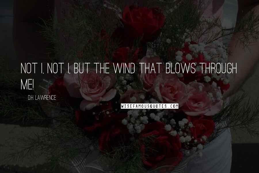 D.H. Lawrence Quotes: Not I, not I, but the wind that blows through me!