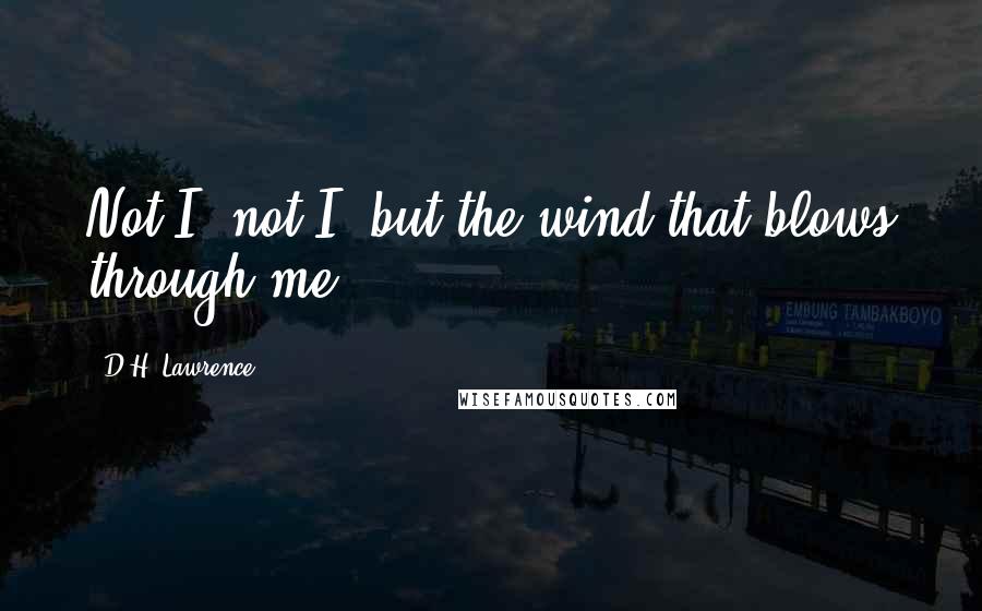 D.H. Lawrence Quotes: Not I, not I, but the wind that blows through me!