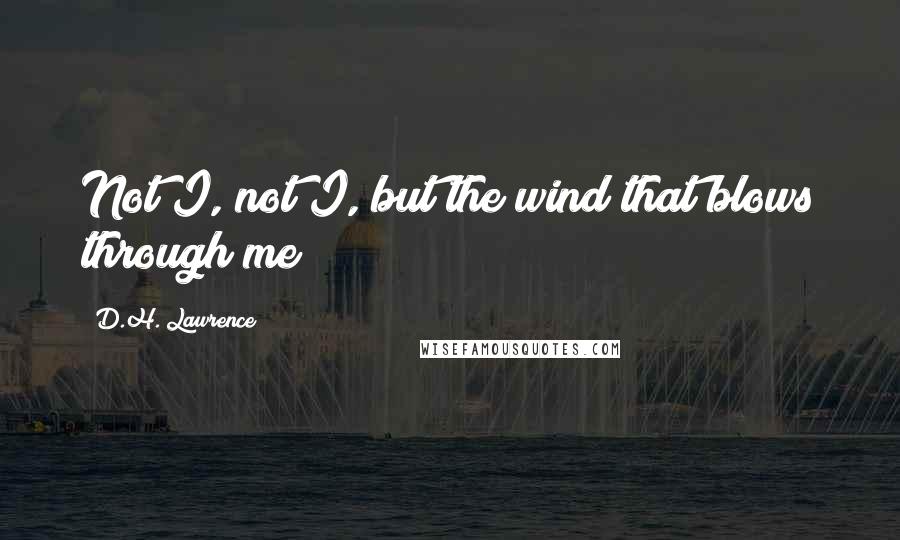 D.H. Lawrence Quotes: Not I, not I, but the wind that blows through me!