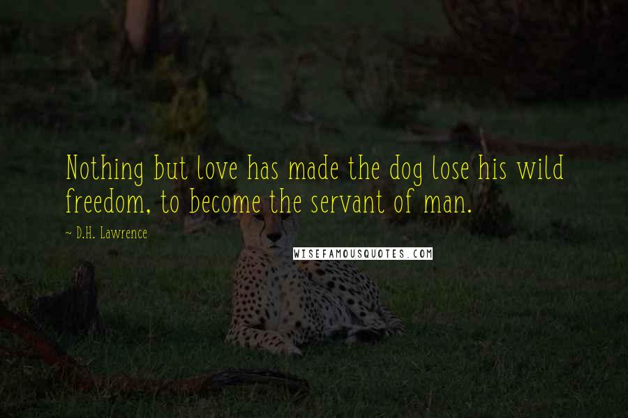 D.H. Lawrence Quotes: Nothing but love has made the dog lose his wild freedom, to become the servant of man.