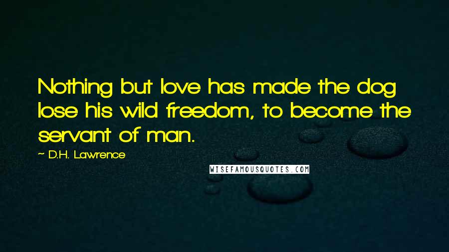 D.H. Lawrence Quotes: Nothing but love has made the dog lose his wild freedom, to become the servant of man.